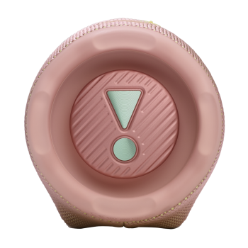 Портативная колонка JBL Charge 6 Pink