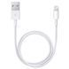 Кабель Apple Lightning to USB Cable 2m MD819 Белый