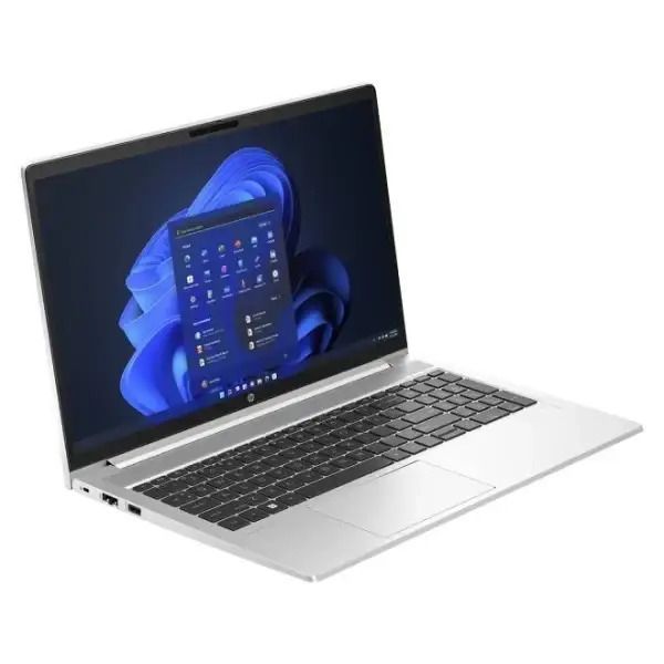 Ноутбук HP ProBook 455 G10 Silver (719F6AV)