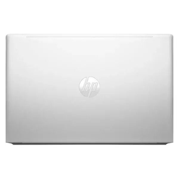 Ноутбук HP ProBook 455 G10 Silver (719F6AV)