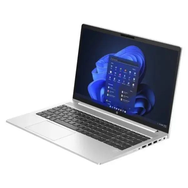 Ноутбук HP ProBook 455 G10 Silver (719F6AV)