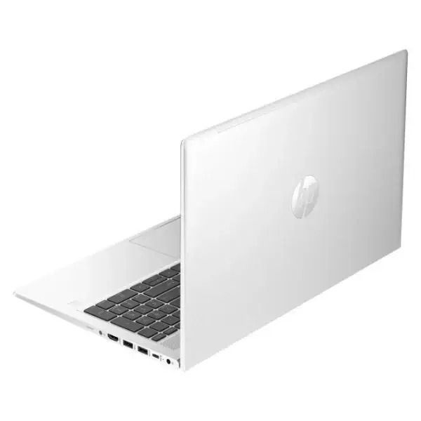 Ноутбук HP ProBook 455 G10 Silver (719F6AV)