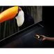 Телевизор Xiaomi TV S Mini LED 75 2025